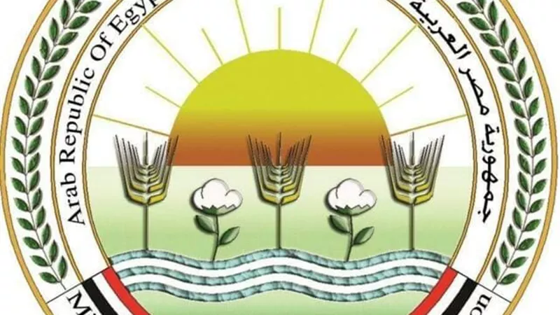 الزراعة تتحرك ضد الإعلانات المضللة وتحذر: لا بيع أونلاين نهائيًا