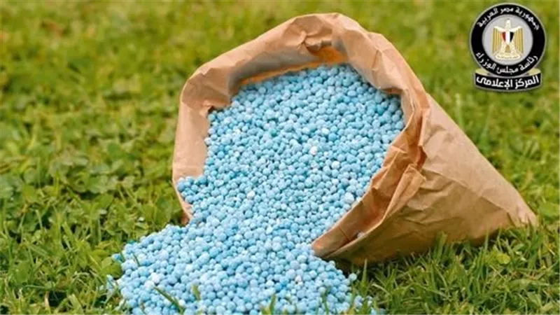 مجلس الوزراء يوضح حقيقة نقص التقاوي والأسمدة المعتمدة لزراعة القمح بالمنافذ الرسمية