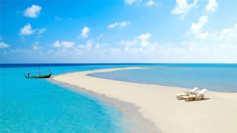 على شاطئ 