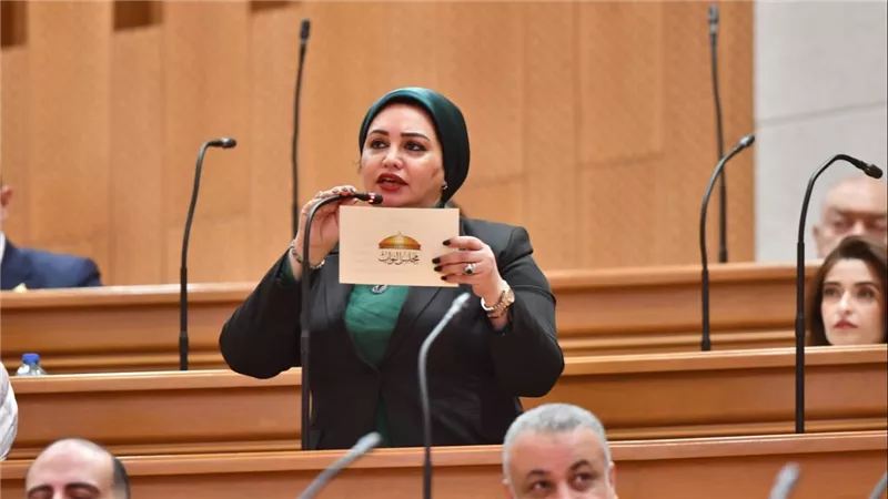 هل مصر مستعدة لمواجهة التغيرات المناخية؟.. برلمانية تدق ناقوس الخطر