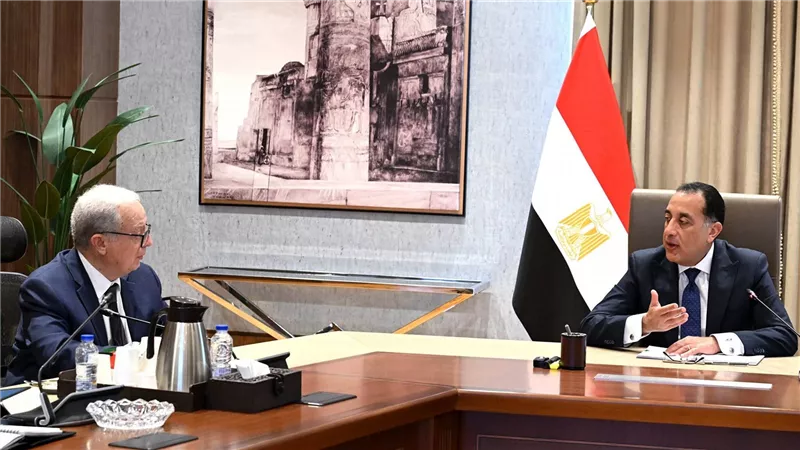 مدبولي: هيكلة الهيئات الاقتصادية والشركات المملوكة للدولة أحد أهم ملفات العمل خلال هذه المرحلة 