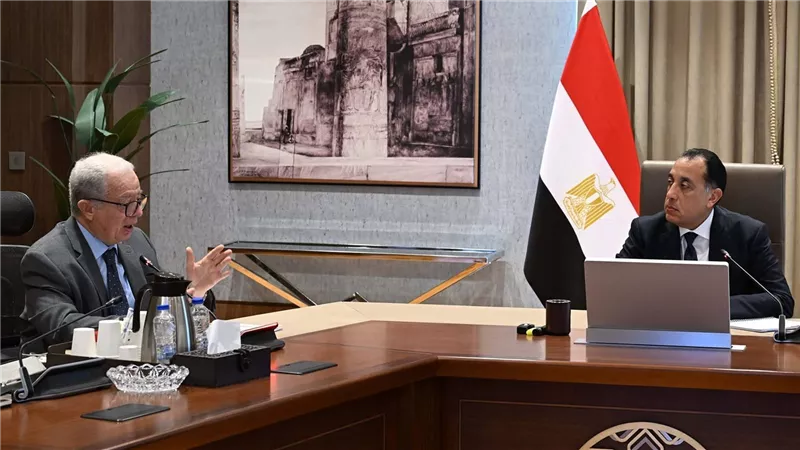 الحكومة تبدأ ماراثون تطوير الهيئات الاقتصادية.. اجتماعات مكثفة مع 