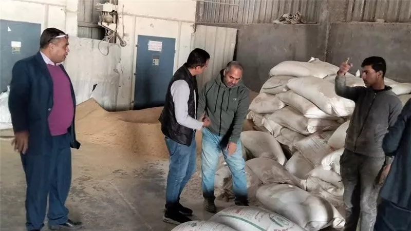 الزراعة تكثف الجولات الميدانية لضمان وصول الأسمدة المدعمة للمزارعين