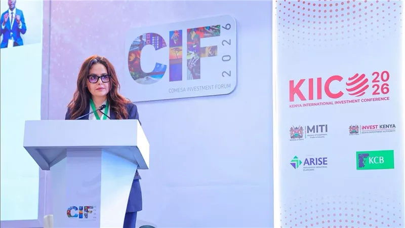 الكوميسا تفرض نفسها على خريطة الاستثمار العالمية