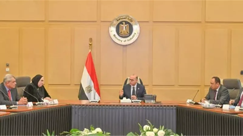 استراتيجية جديدة للاستثمار نحو دعم توسع شركات المقاولات المصرية في الأسواق الخارجية