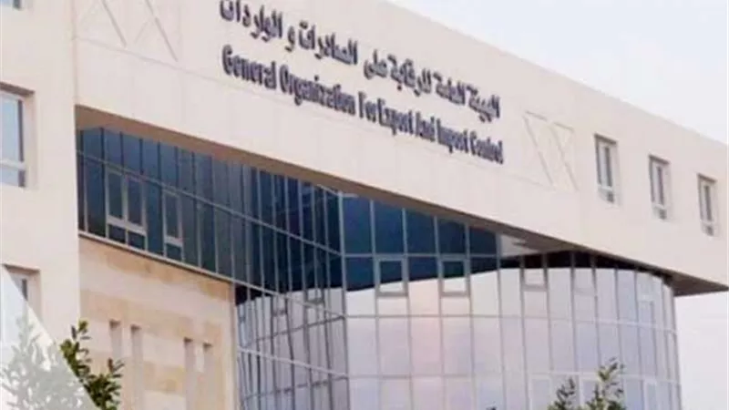 رقمنة حكومية للخدمات.. تعاون جديد بين تنمية التجارة والرقابة على الصادرات