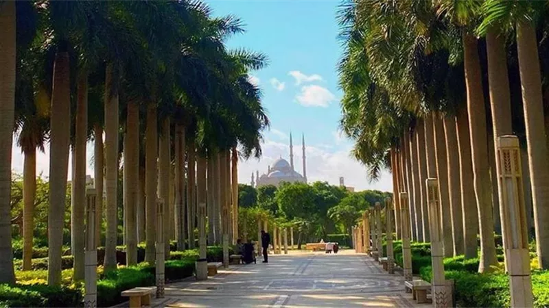 أماكن خروج اقتصادية في شم النسيم 2026 بالمحافظات.. دليل شامل للاستمتاع بيوم الربيع