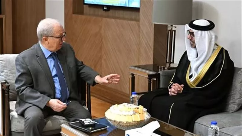 نائب رئيس الوزراء يبحث مع السفير الإماراتي تعزيز الاستثمارات المشتركة
