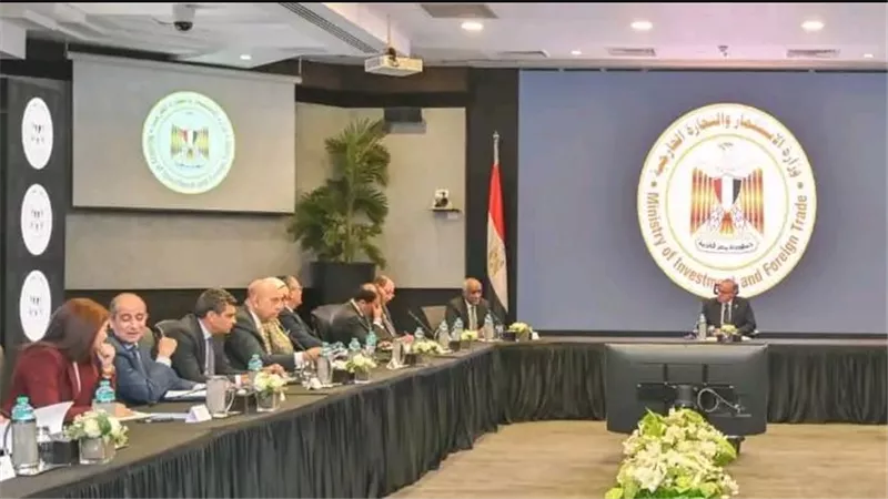 مصر تتحرك نحو أفريقيا.. صندوق استثماري لتعزيز الأمن الغذائي والتوسع الاقتصادي