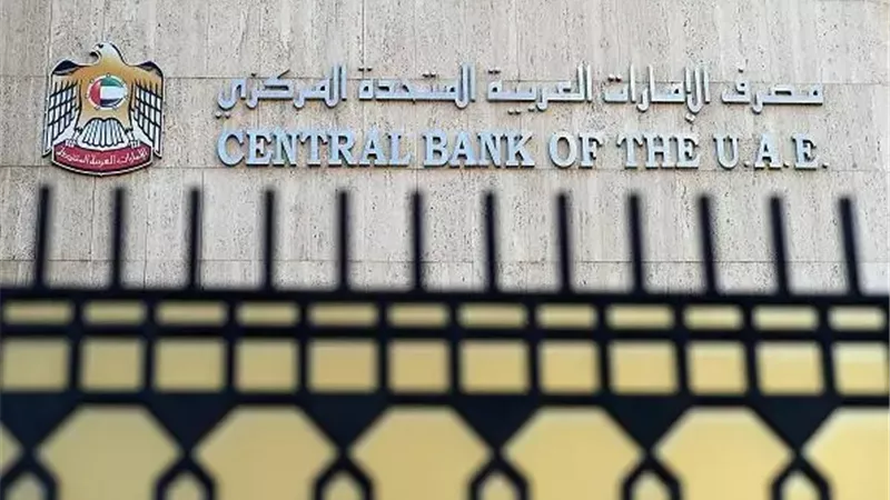 المركزي الإماراتي يعزز منظومة الامتثال المالي بإرشادات جديدة لمكافحة الجرائم المالية