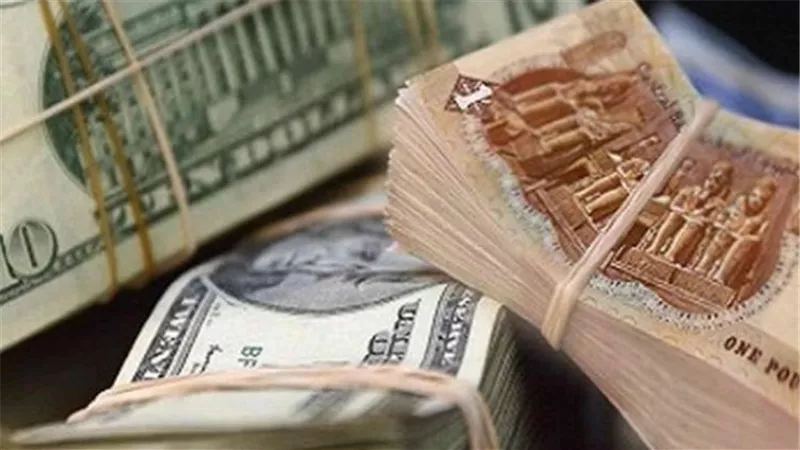 مليار دولار مشتريات العرب من أدوات الدين.. الأموال الساخنة تعود للسوق المصرية