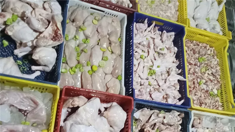 أسعار الفراخ اليوم.. البانيه يسجل 300 جنيه في السلاسل التجارية