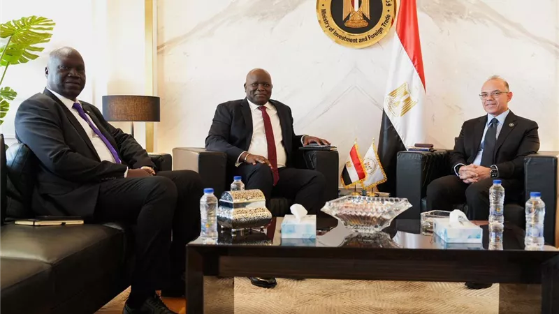 تحالف اقتصادي جديد بين القاهرة وجوبا لدعم التنمية في مجالات الزراعة والطاقة