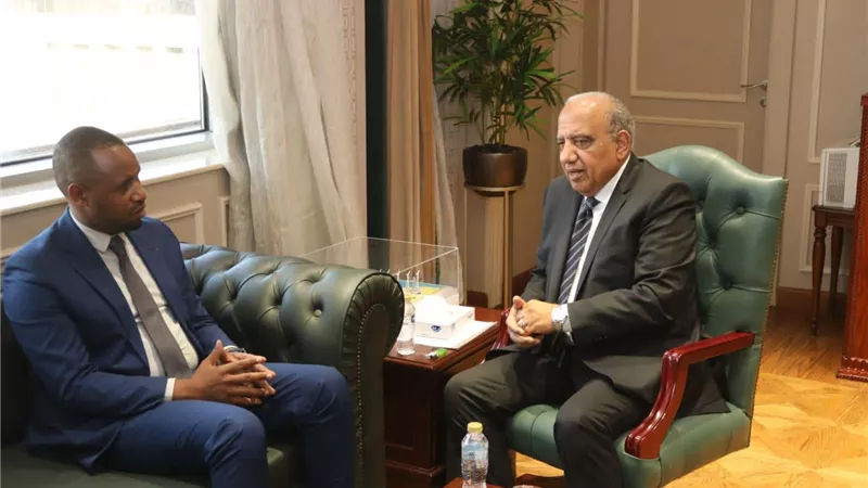 وزير الكهرباء: دعم التعاون والتكامل الإقليمي مع الدول الأفريقية من خلال الشراكة وتبادل الخبرات