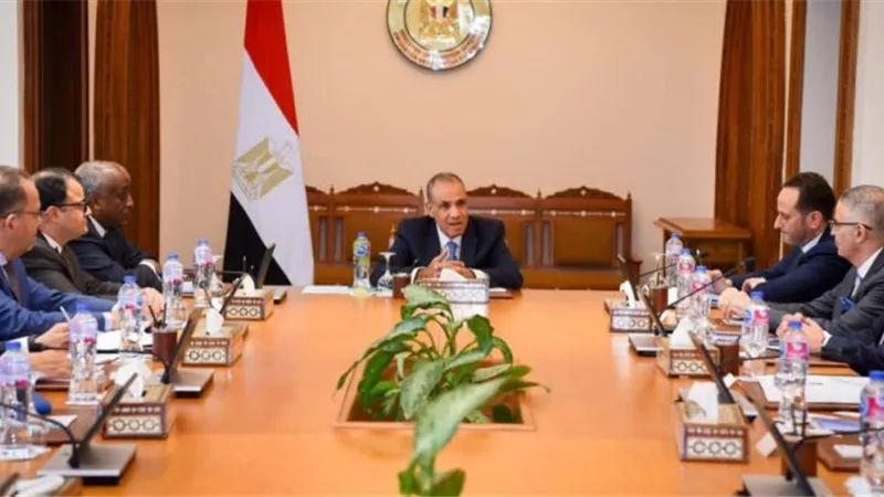 مصر تعزز حضورها الاقتصادي في أفريقيا عبر دعم الشركات الوطنية وفتح آفاق استثمارية جديدة
