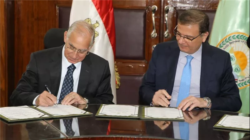 لأول مرة بمصر.. بروتوكول لرفع كفاءة التحسين الوراثي لسلالات الماشية