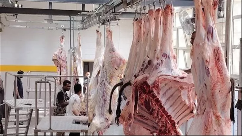 تطوير المنظومة الصحية بأسوان.. تشغيل تجريبي لمجزر دراو الجديد بتكلفة 21.7 مليون جنيه