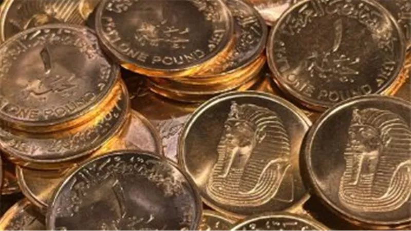 طريقة الحصول على الجنيه المعدني الجديد خطوة بخطوة