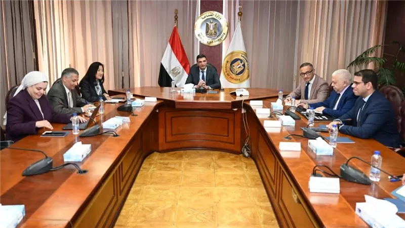 وزير الصناعة يبحث مع برنامج الأمم المتحدة الإنمائي تعزيز التعاون في التحول الأخضر والطاقة المتجددة