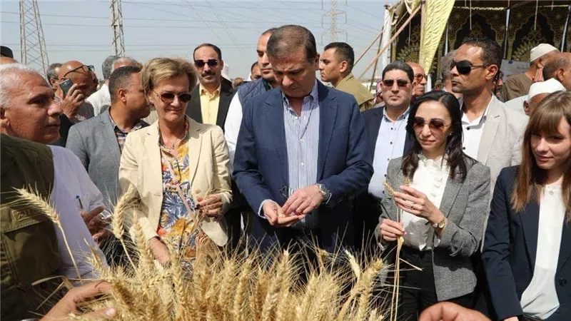 الزراعة في عهد السيسي.. إنجازات غير مسبوقة تقود مصر نحو الاكتفاء الذاتي ودعم الأمن الغذائي