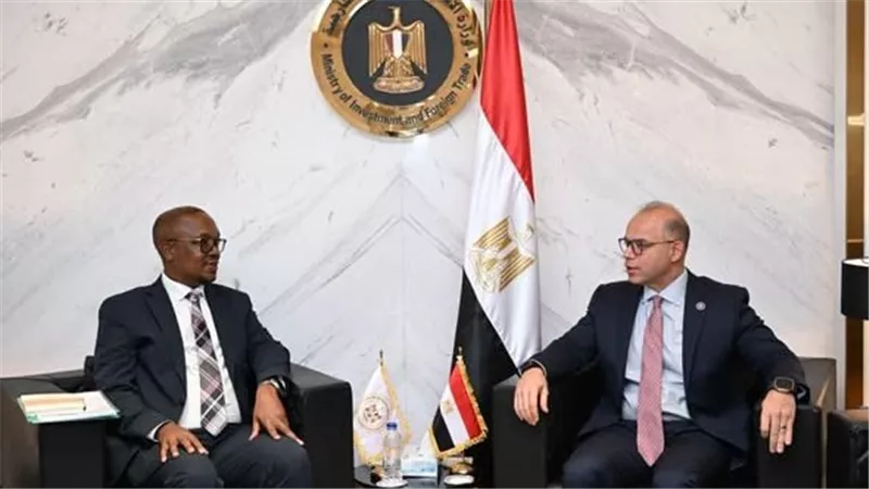 مصر وجنوب أفريقيا.. خطوة جديدة لبناء تكتل اقتصادي يخدم القارة
