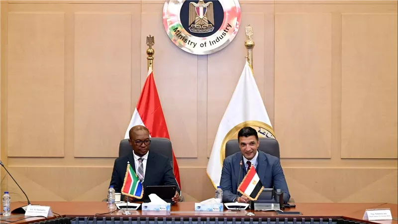 شراكة بين مصر وجنوب إفريقيا لتوطين صناعة السيارات وتعزيز الاستثمارات المشتركة