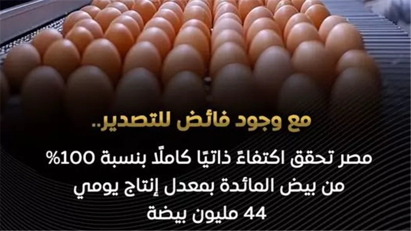 الزراعة: إنتاج مصر من بيض المائدة يرتفع إلى 16.5 مليار بيضة سنويًا ويحقق الاكتفاء الذاتي